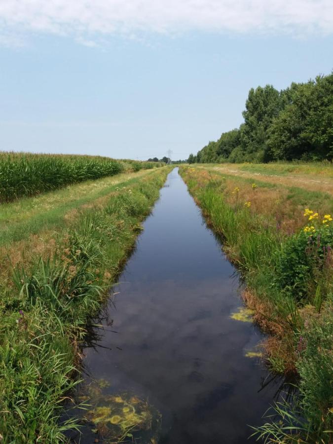 Het Torentje Van Trips Tripscompagnie Exterior foto